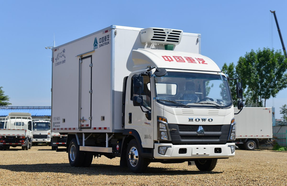 Freezer Truck For Sale Sinotruck Howo 4*2 Single Axle Refrigerator Truck Van Box 20 Cubic