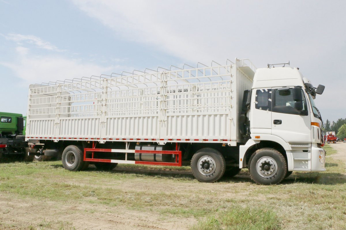 Foton Auman Stake Truck 6 Series Heavy Duty Truck Diesel 8-Speed 245HP 6X2 9.53m White Body