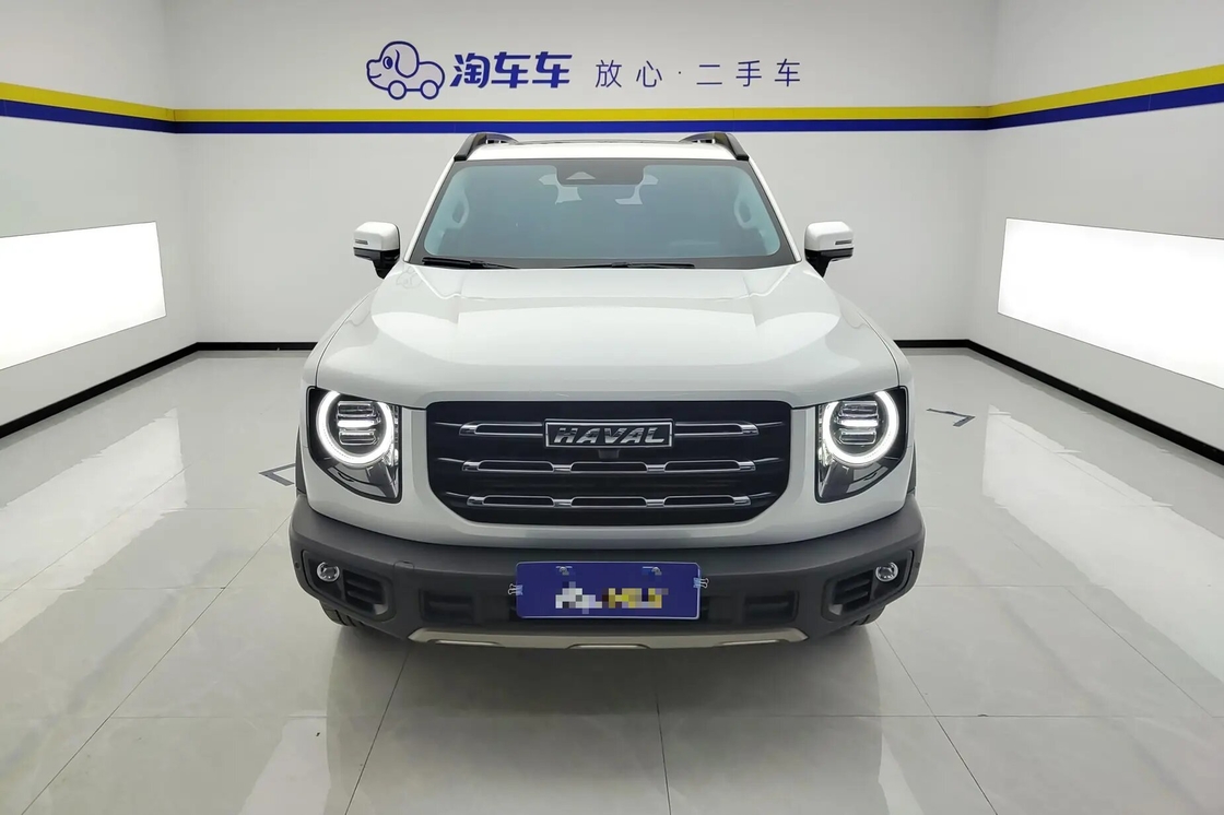 Affordable Haval Big Dog 2021 1.5T 2WD Border Collie Edition For Sale 2wd Luxury Family Use
