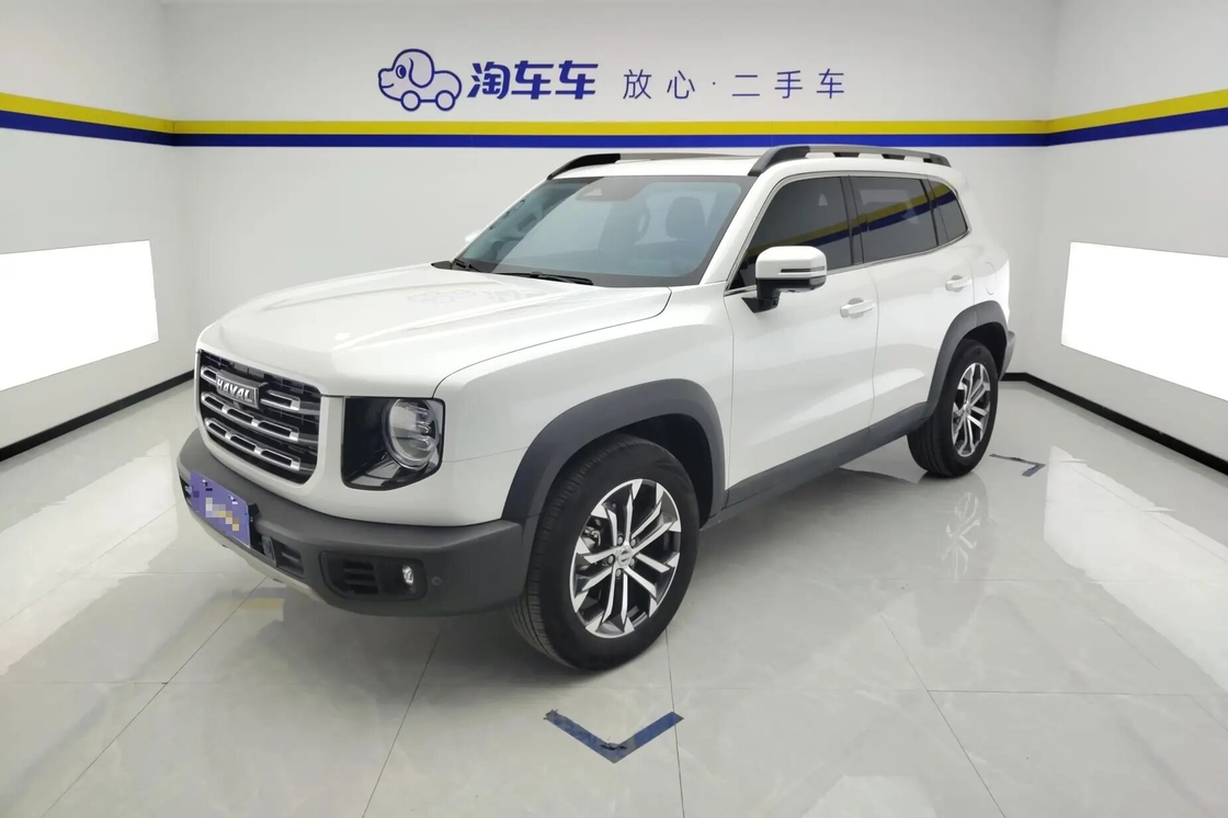 Affordable Haval Big Dog 2021 1.5T 2WD Border Collie Edition For Sale 2wd Luxury Family Use