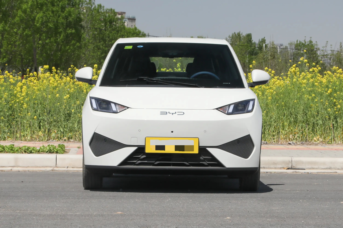 Affordable New BYD Seagull Small Car 2025  Electric 2WD  For Export for Family use
