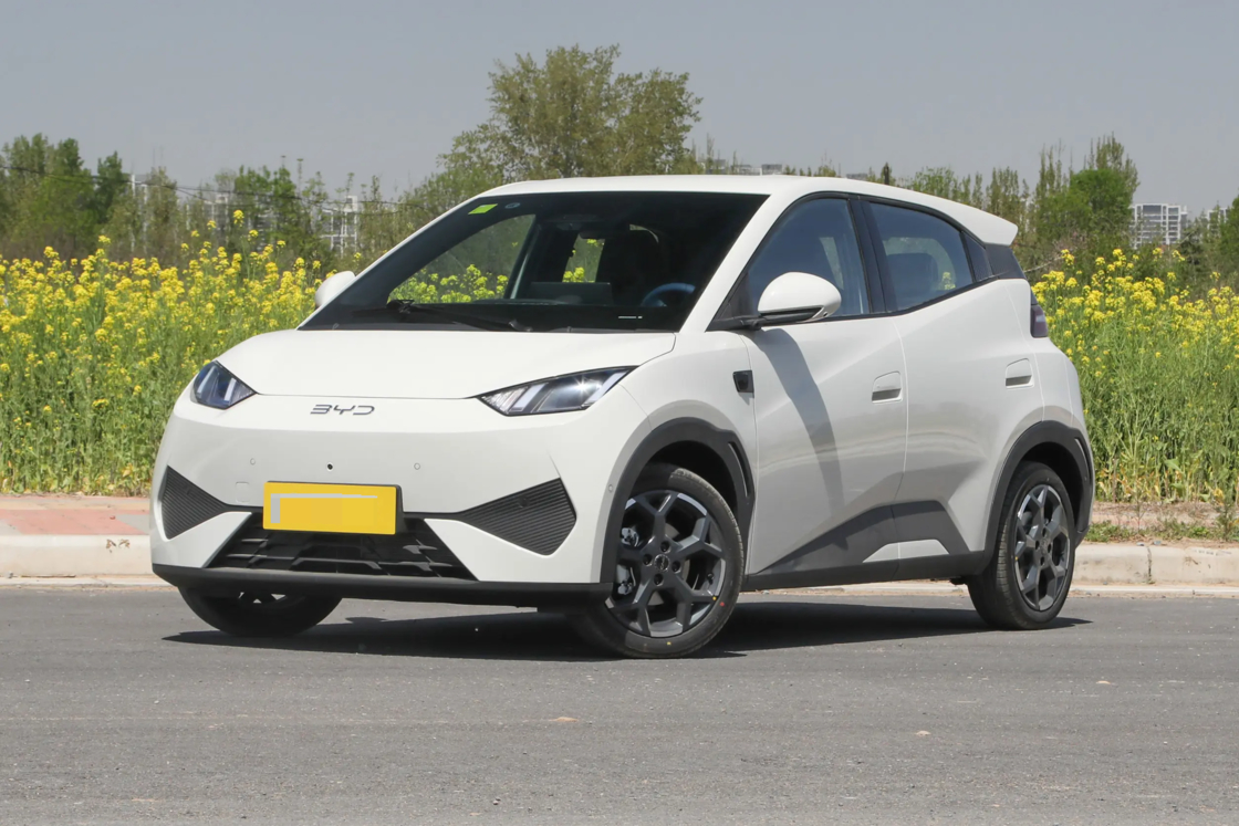 Affordable New BYD Seagull Small Car 2025  Electric 2WD  For Export for Family use