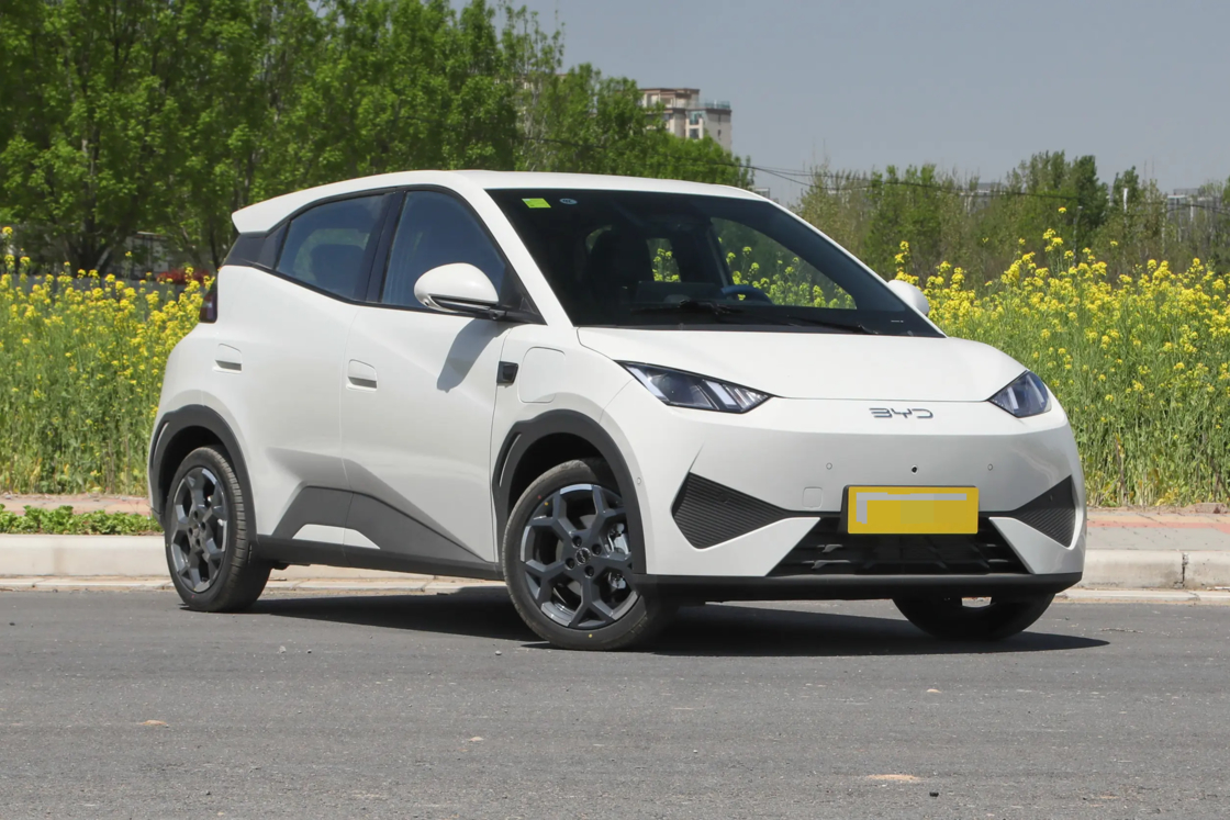 Affordable New BYD Seagull Small Car 2025  Electric 2WD  For Export for Family use