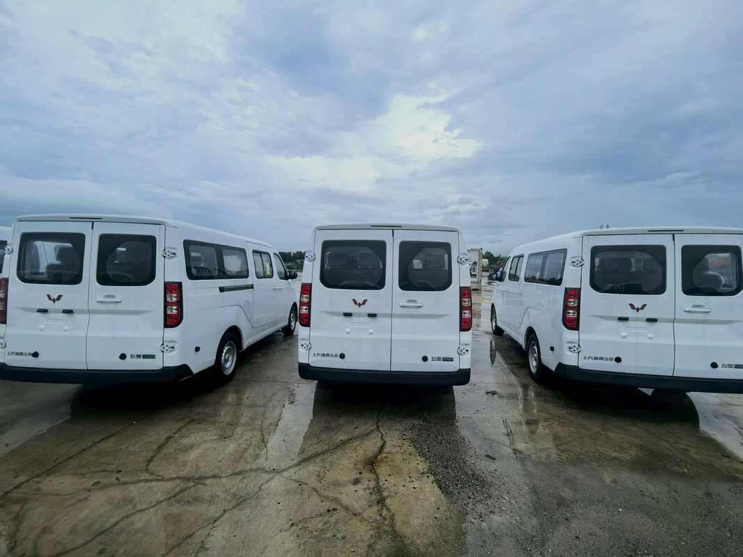 Wuling Yangguang EV, electric minibus, 9 seater electric passenger van, pure electric shuttle bus, light electric bus, LHD electric microbus